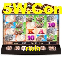 7rwin: A Experiência de Casino com Jogos de Mesa ao Vivo